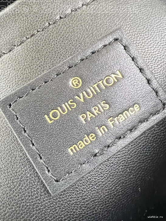 WIS VUITTON BANDOULIÈRE SPEEDY 20 LOUIS 0307